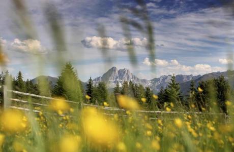 landschaft-bergpanorama