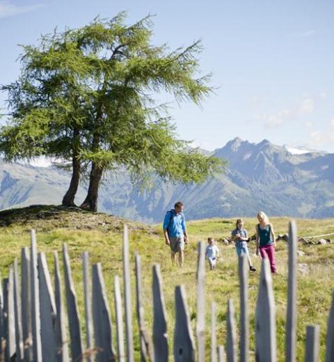 familie-wandern-wiese