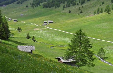 landschaft-wiesen