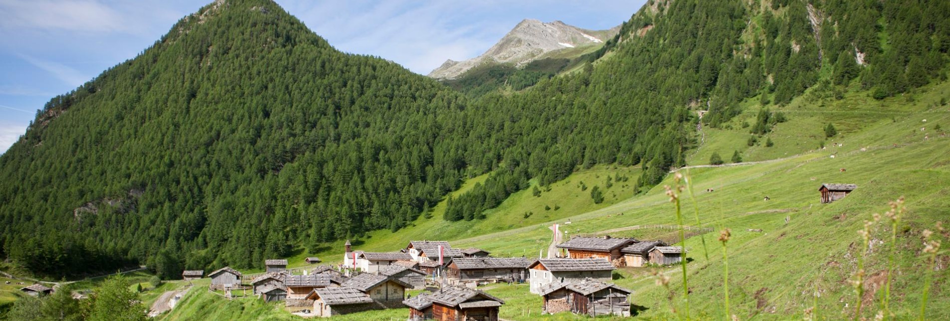 Fane Alm Vals - Südtirol