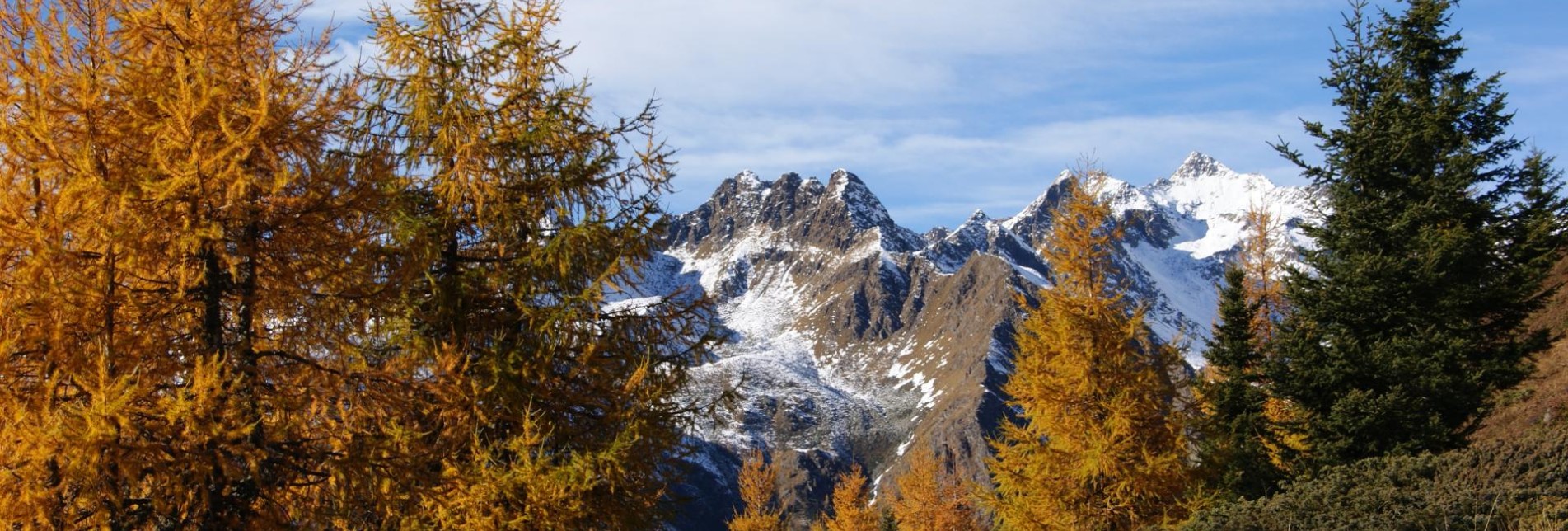 herbstlandschaft